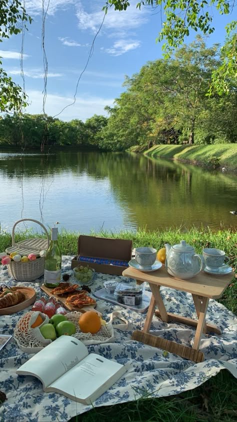 Yêu luật sư phải biết phản biện